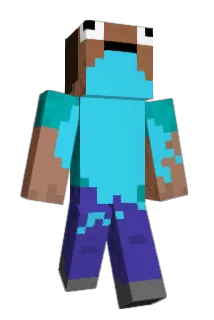 wokierzz Minecraft avatar full body