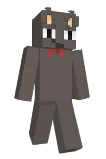 wokions Minecraft avatar full body