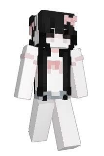 wokjr Minecraft avatar full body