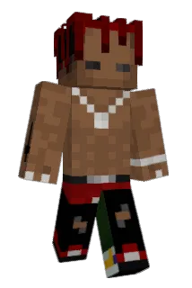 wokwhippa Minecraft avatar full body