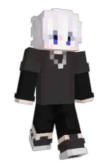 wolek1980 Minecraft avatar full body
