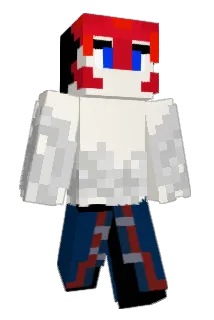 won9311 Minecraft avatar full body