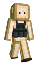Custom render preview