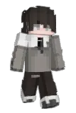 wonderfool Minecraft avatar full body