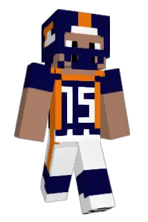 wonderfree Minecraft avatar full body