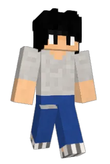 wonemore Minecraft avatar full body