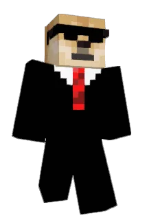 wonkey_skronkey5 Minecraft avatar full body