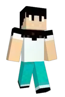 wonsuk2012 Minecraft avatar full body