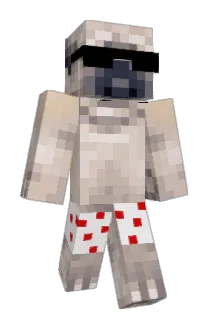 woo5 Minecraft avatar full body