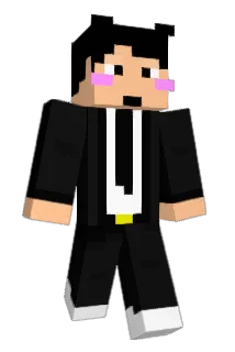 woo_in125 Minecraft avatar full body