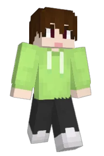 woo_ter Minecraft avatar full body