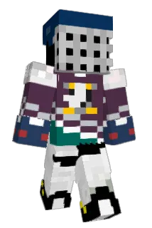 wooddruffs Minecraft avatar full body