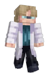 woodkidix Minecraft avatar full body