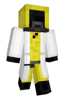 wookie807 Minecraft avatar full body