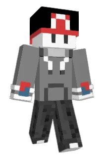 woolimj Minecraft avatar full body