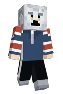woolyz46 Minecraft avatar full body