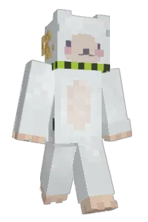 woongin Minecraft avatar full body