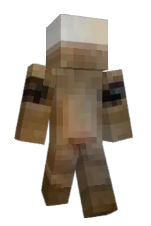 wooquez Minecraft avatar full body