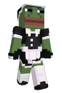 woroniukhouse Minecraft avatar full body