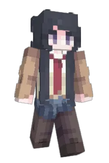 wotereq Minecraft avatar full body