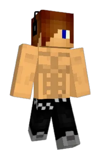 wouter8998 Minecraft avatar full body