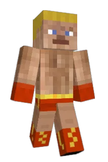 woutvd2006 Minecraft avatar full body