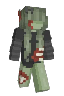 wowleilani Minecraft avatar full body