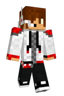 wownice8 Minecraft avatar full body