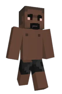 wozfin Minecraft avatar full body