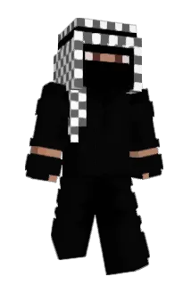 wqshing Minecraft avatar full body