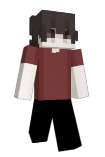 writting Minecraft avatar full body