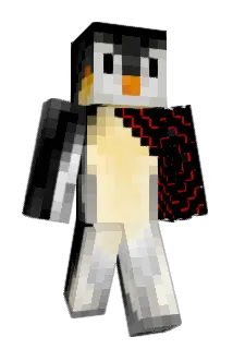 wrizz66 Minecraft avatar full body