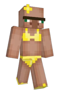 wrongweay Minecraft avatar full body