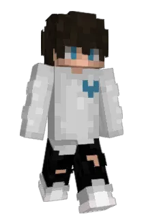 wronqWay_ Minecraft avatar full body