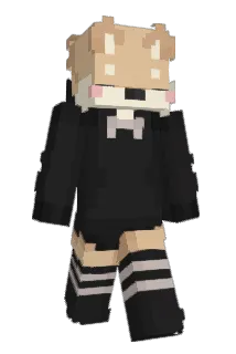 wrt1 Minecraft avatar full body