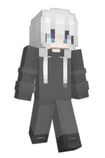 wrwr123 Minecraft avatar full body