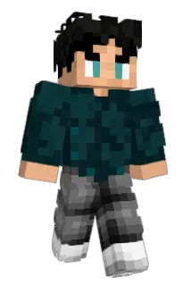 wsah Minecraft avatar full body