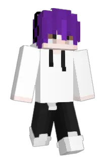 wsenw1771 Minecraft avatar full body