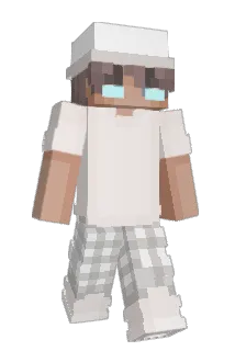 wsgbbg Minecraft avatar full body