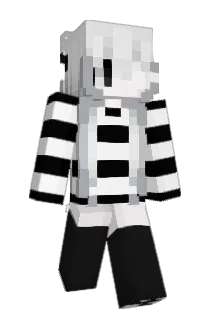 wshEvry Minecraft avatar full body