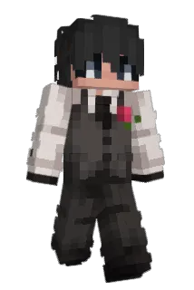 wshaa Minecraft avatar full body