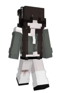 wskis Minecraft avatar full body