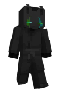 wsllznn Minecraft avatar full body