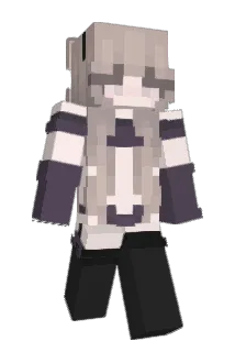wsmdy Minecraft avatar full body