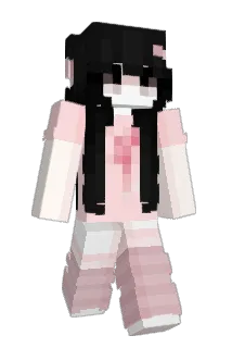 wsn_ Minecraft avatar full body