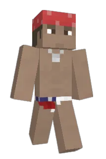wsqzx Minecraft avatar full body