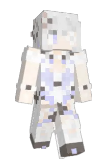 wsy2008 Minecraft avatar full body