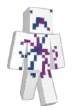 wt3r Minecraft avatar full body