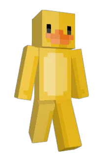 wtduuuck Minecraft avatar full body