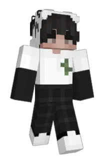 wtfqq Minecraft avatar full body